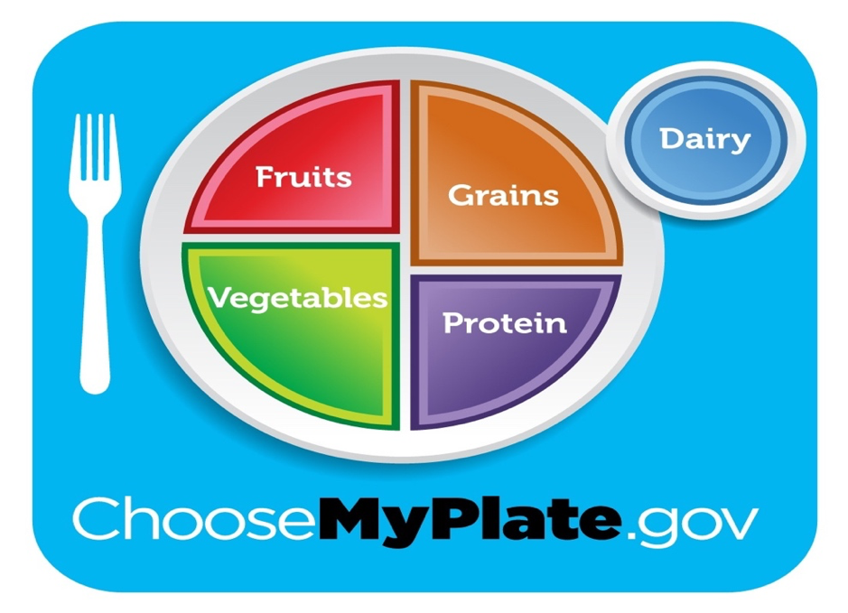 Picture Perfect Nutrition in 5 Minutes: Food Plates to Use