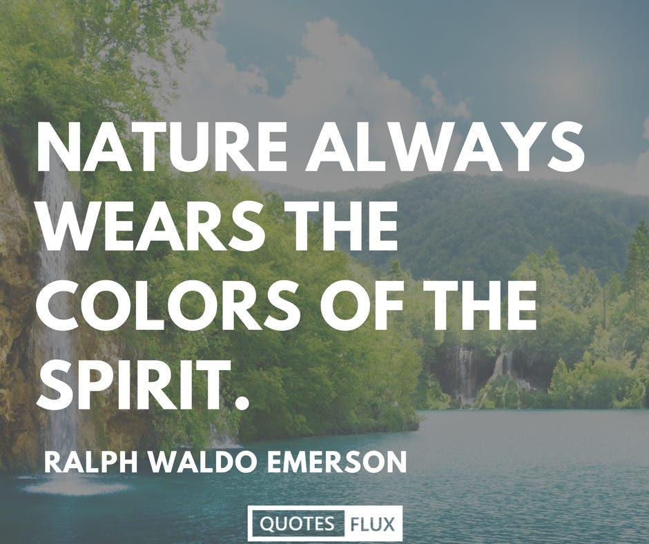 Top 10 Nature Quotes | by Quotes Flux | Medium
