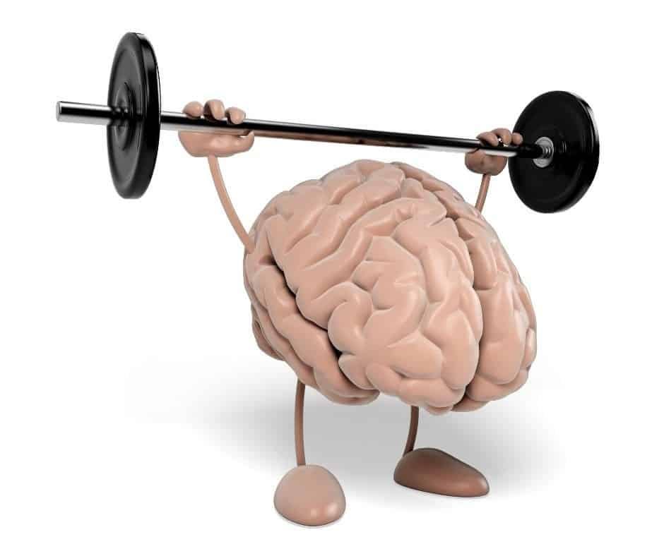 How to improve brain function and memory lori jackson medium