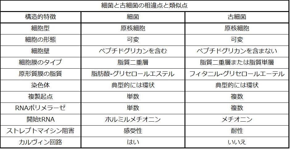 真 核 生物 と 原核 生物 の 違い