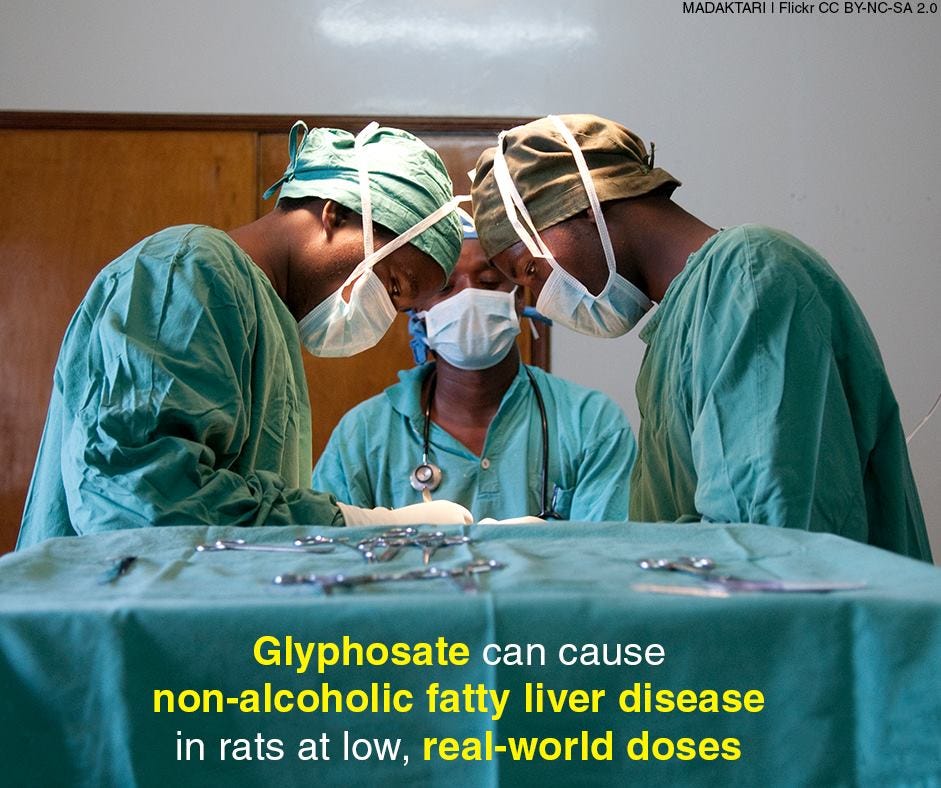 New study shows Monsanto’s Roundup is dangerous even in small amounts