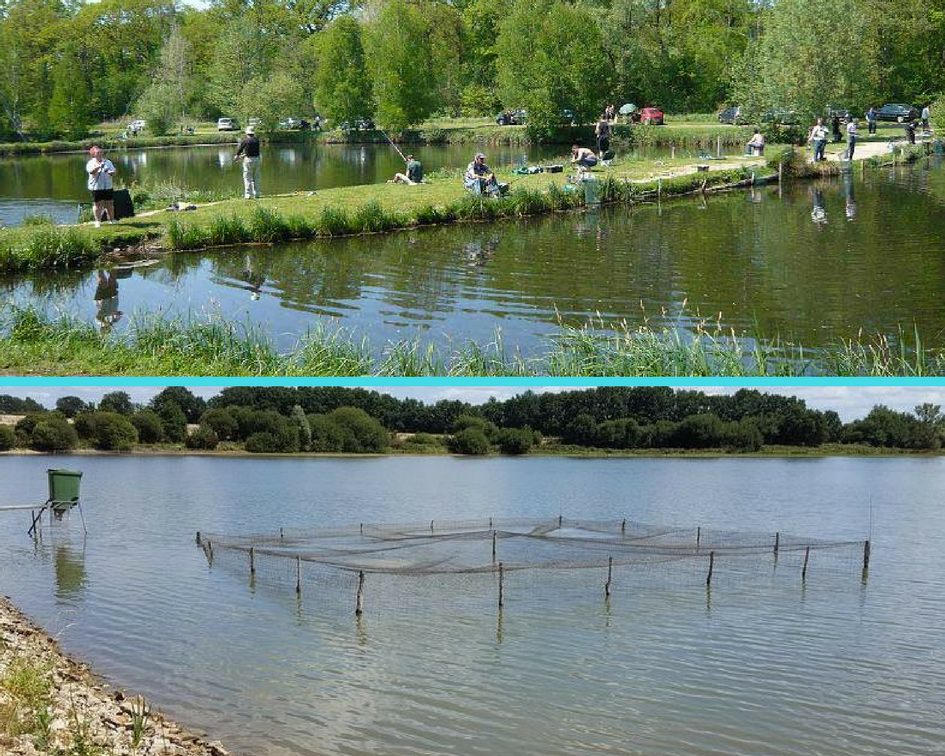 Pisciculture De Bernay Et Ses étangs De Pêche Photos
