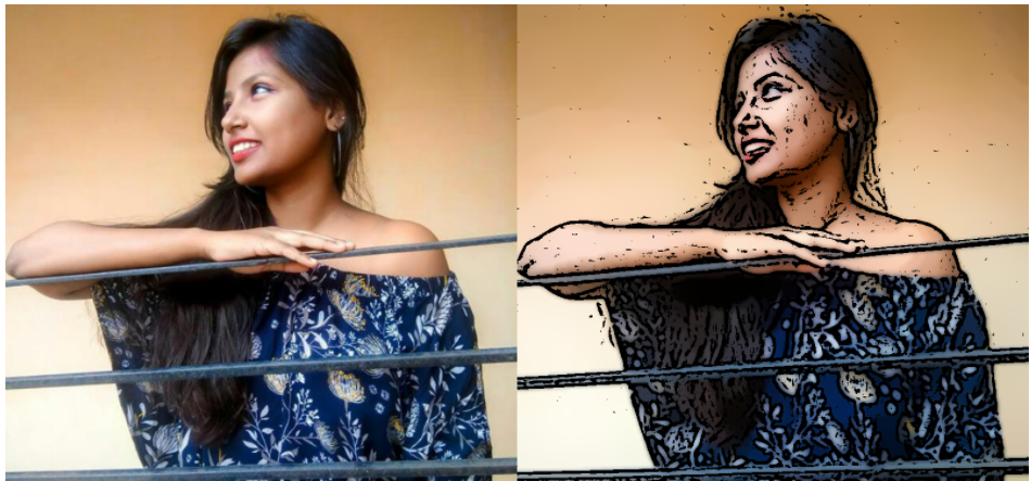 Cartoonization with Python Script | by Tanvi Agarwal | Analytics Vidhya ...