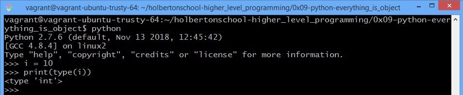 Your will and courage must be as tuples in Python: immutable. | by John ...