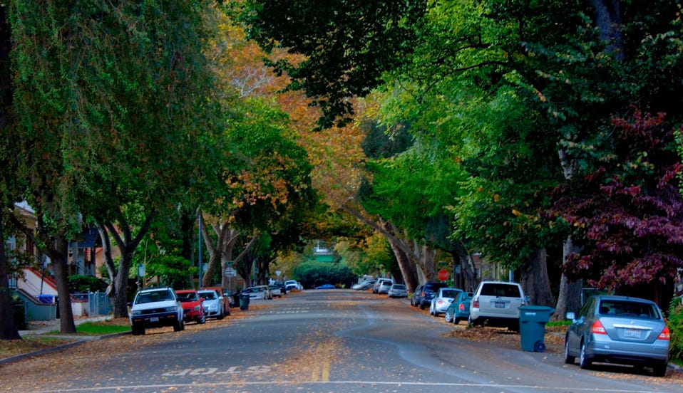 Sacramento, California’s ‘City of Trees’ by Mike McPhate The