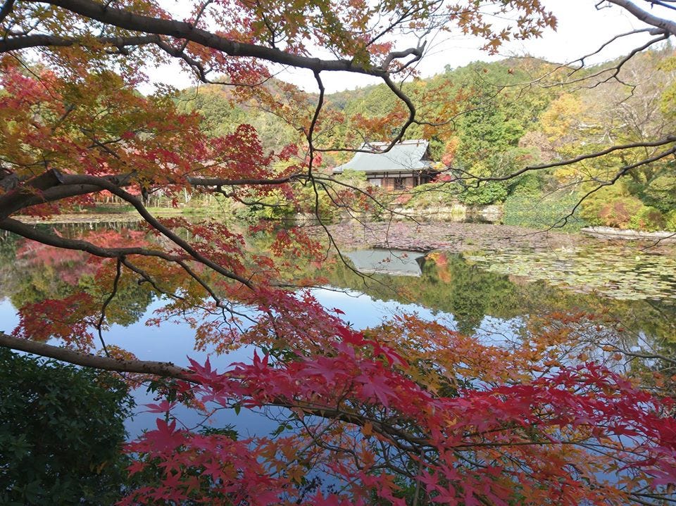 京都賞楓 龍安寺 鏡容池 Am 10 45 By Ian Medium