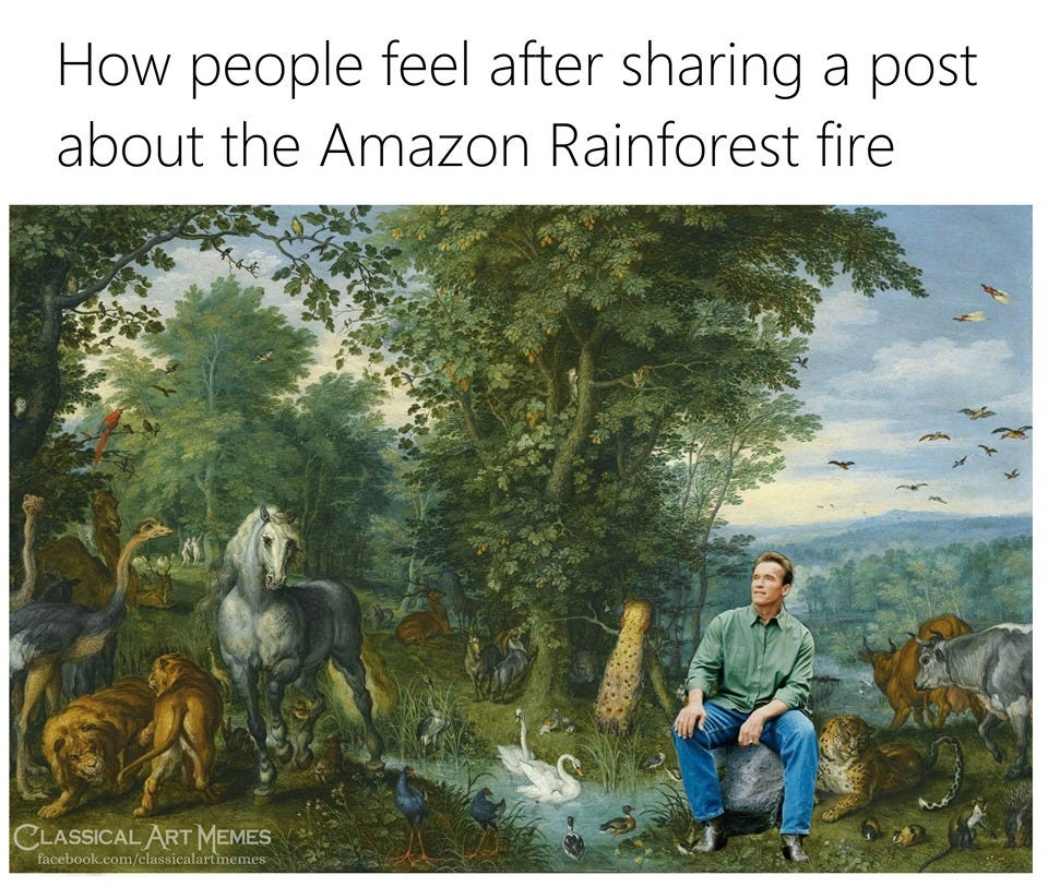 21 Memes About The Amazon Rainforest Burning Down Feels Gallery