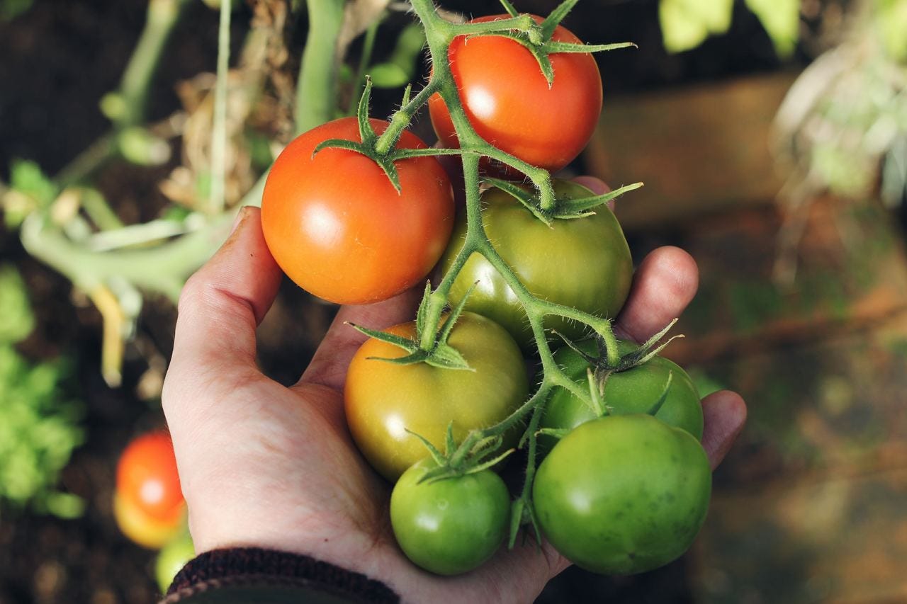 Investir dans l'agricuture