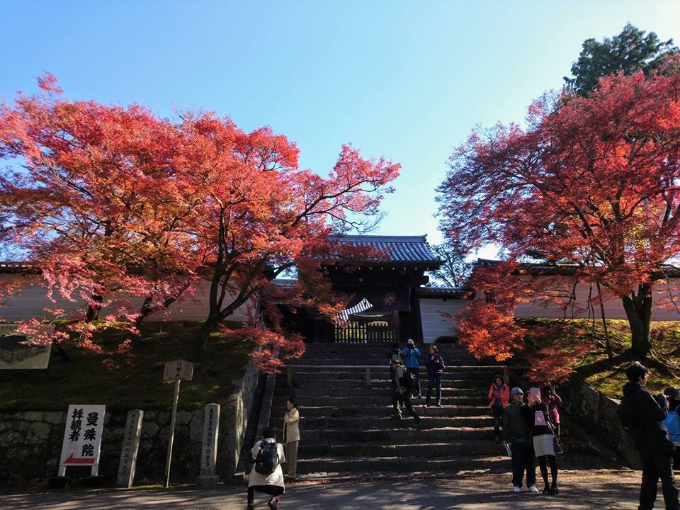 京都賞楓 曼殊院門跡 敕使門 Am 10 55 By Ian Medium