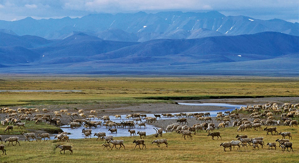 Celebrating National Wildlife Refuge Week | by Defenders of Wildlife ...