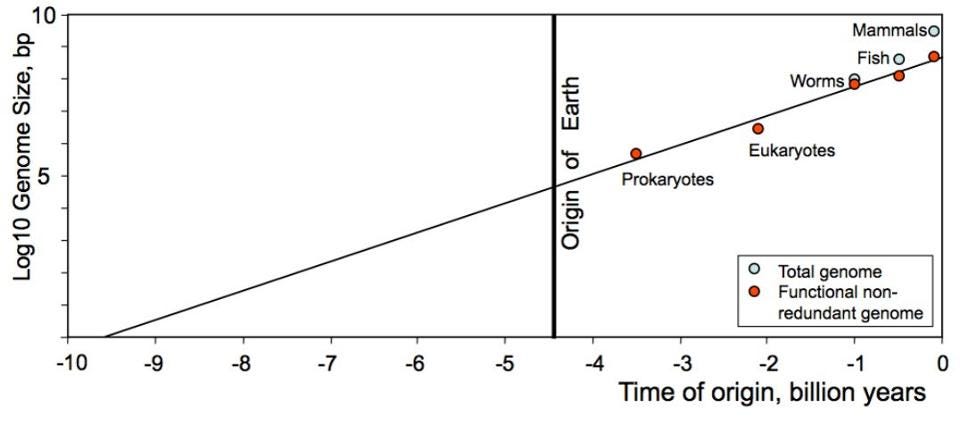 The Suspect Science Of Star Trek: Discovery, ‘Context Is For Kings