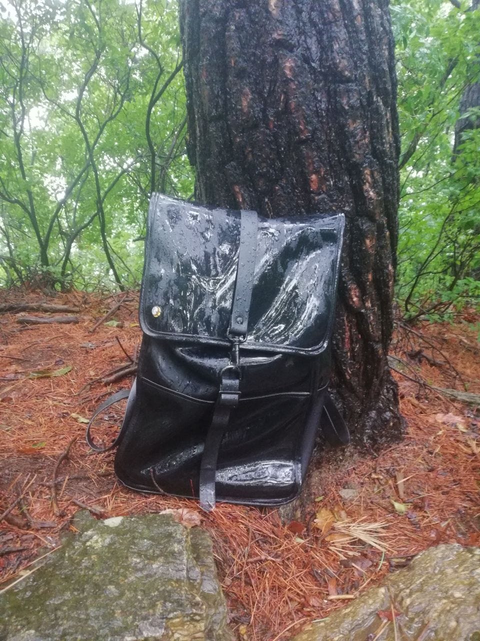 rains backpack singapore