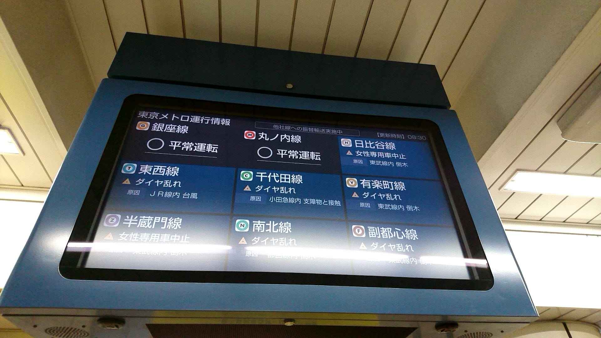 東京新生 晴 東京新生 Medium 東京新生 晴 東京新生 Medium