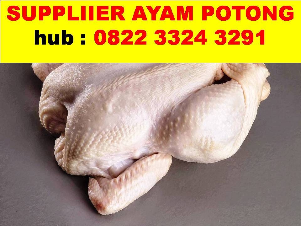 0822 3324 3291 Peternakan Ayam Potong Di Semarang Supplier