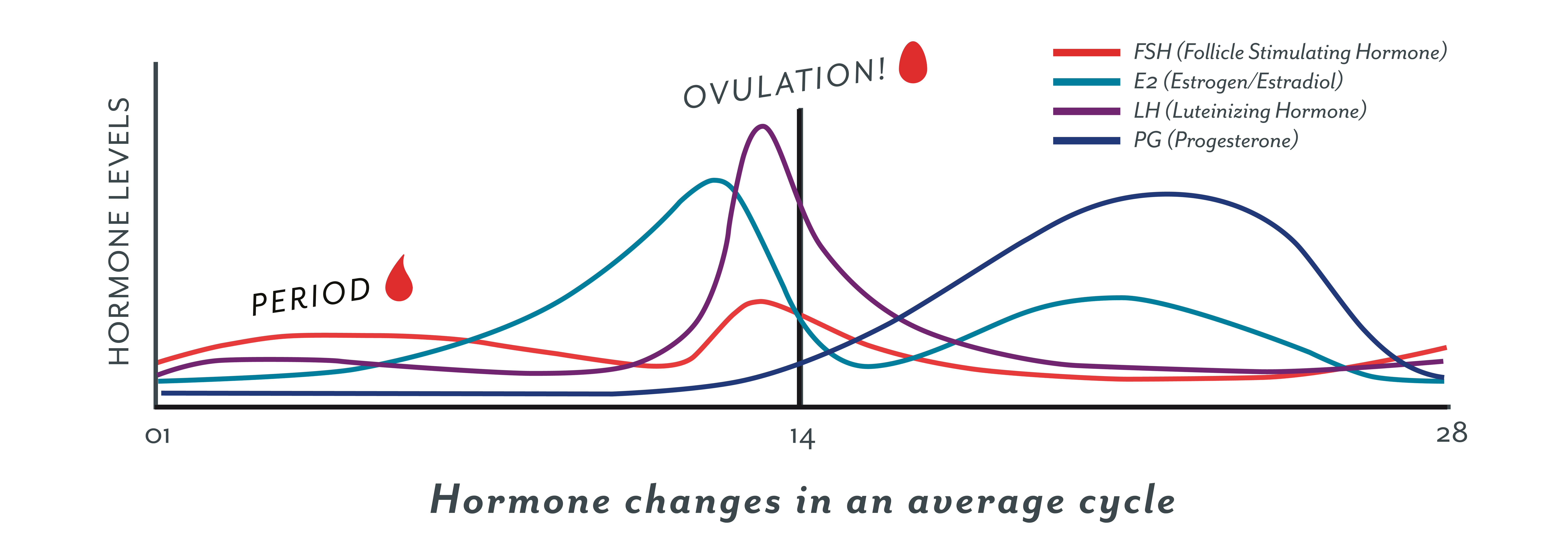 Ovulation Chart Get