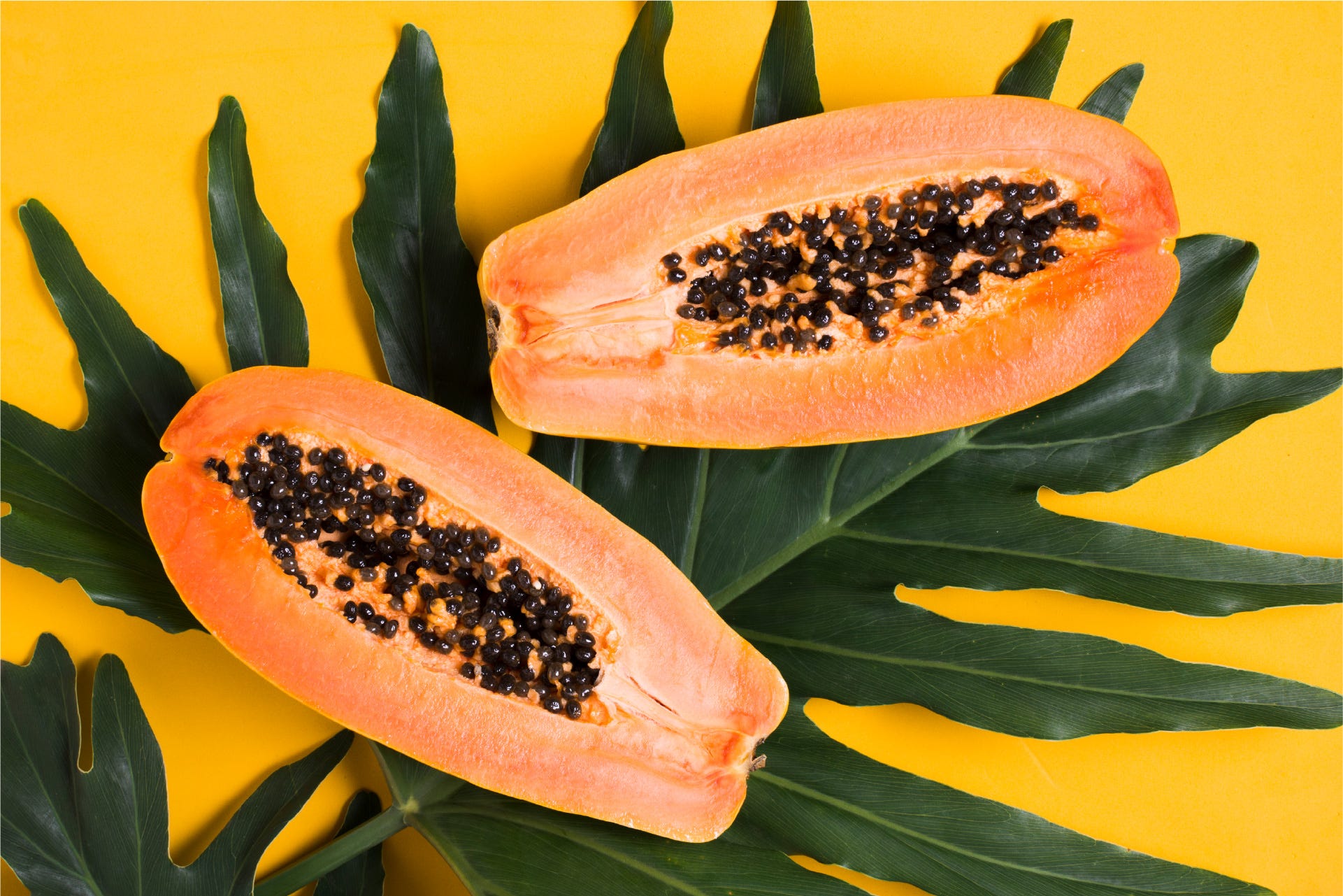 Papaya