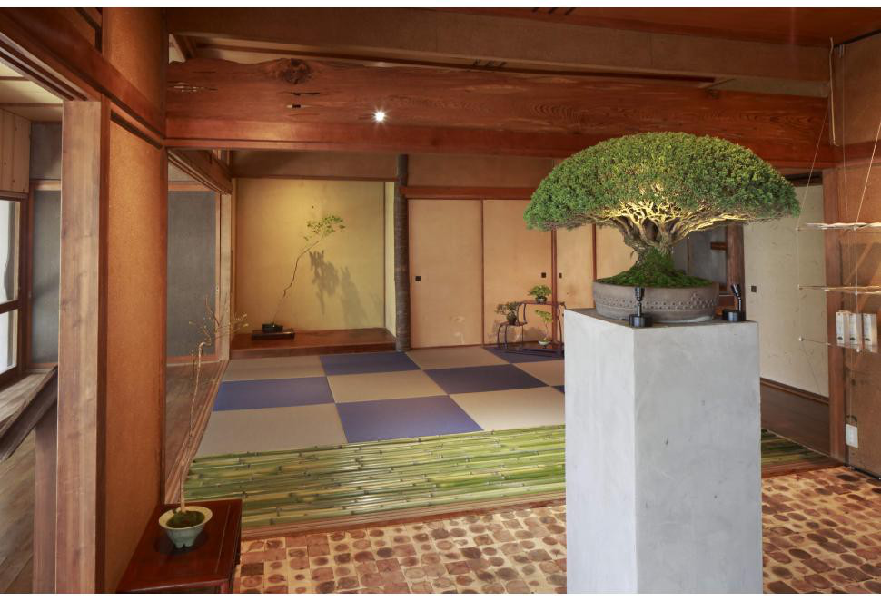 高松盆栽 Bonsai 瀨戶內海藝術祭女木島 中西珍松園 By Vivian Chen Medium