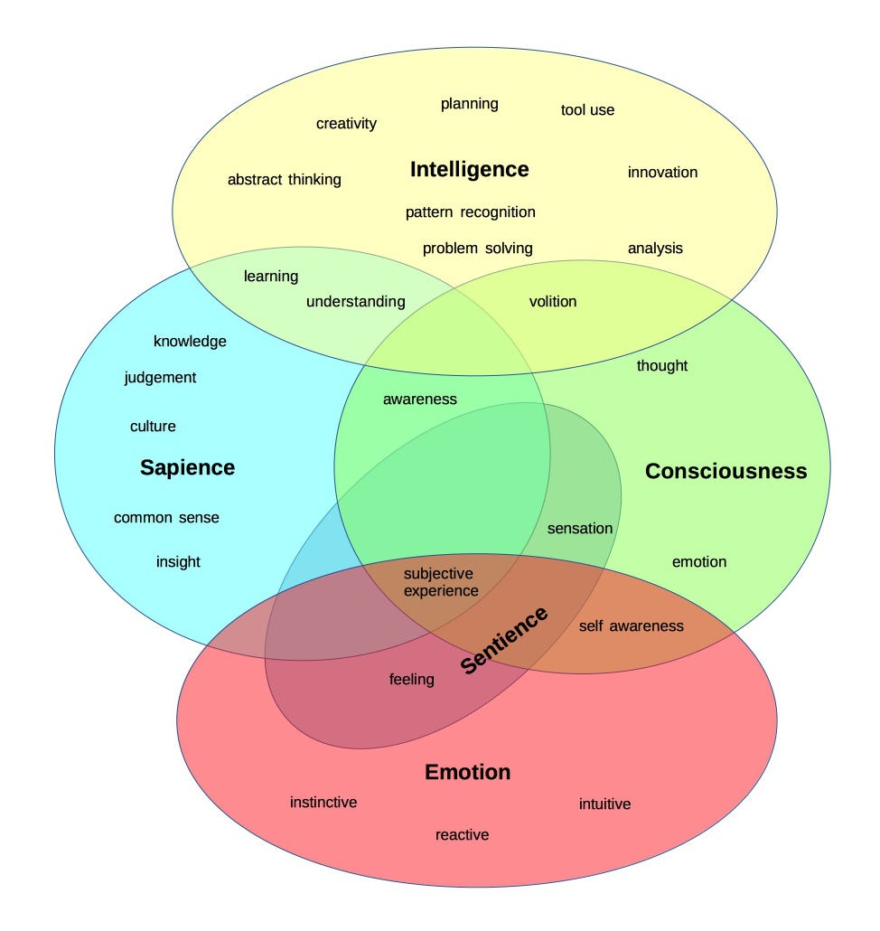 sentience meaning sentience meaning