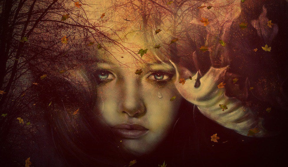 All The Light We Cannot See Trama