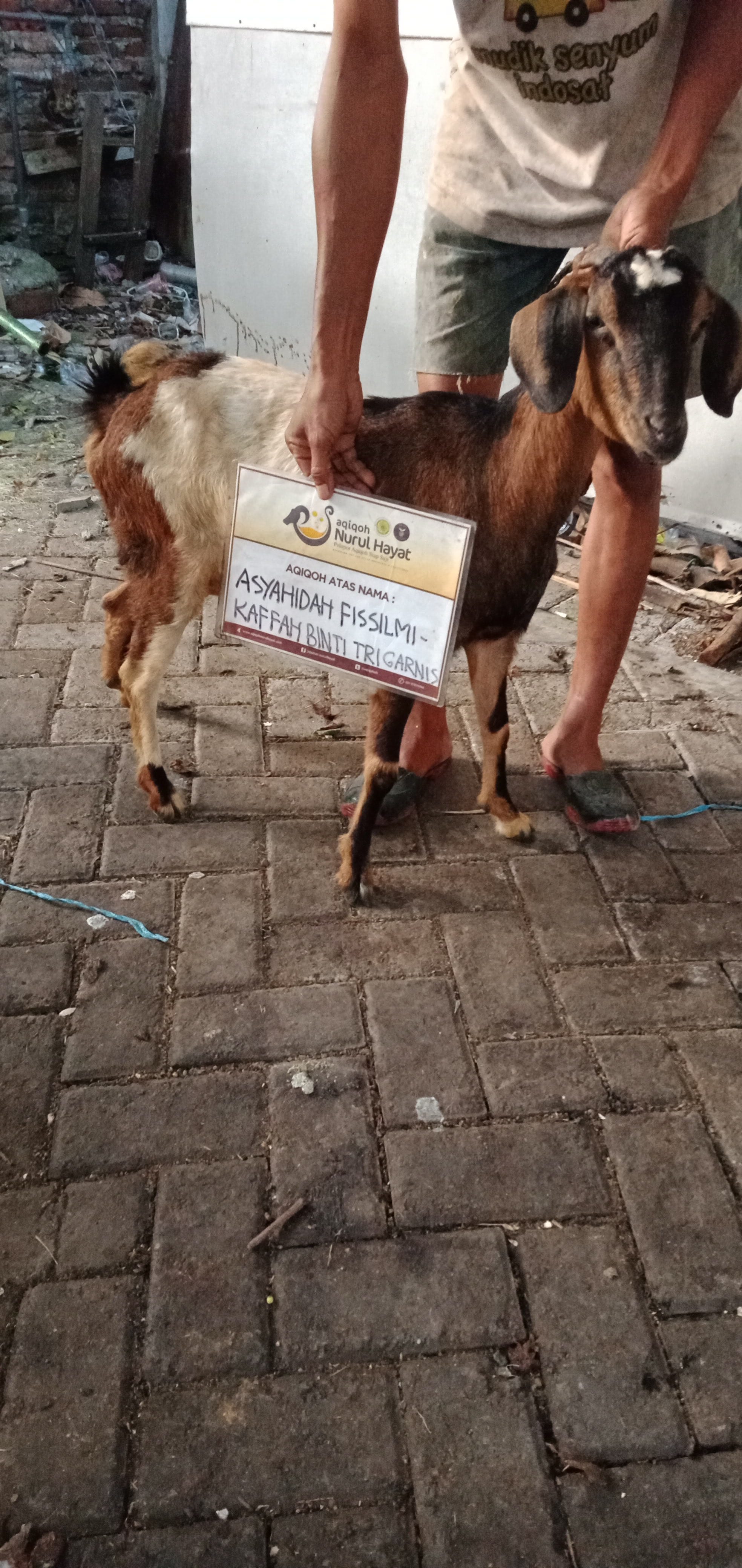 aqiqah artis, aqiqah murah, aqiqah terdekat, aqiqah artis, jasa aqiqah