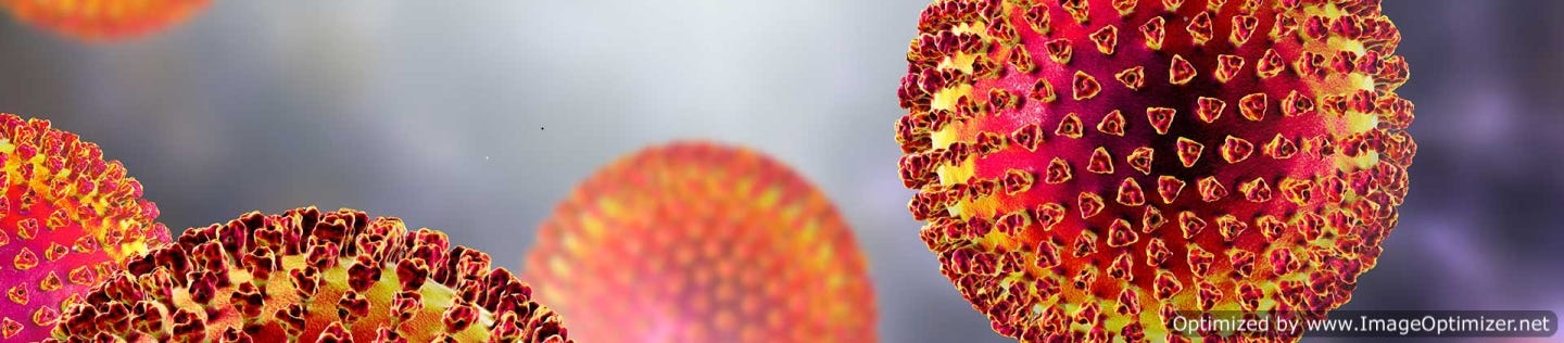 Image of the COVID-19 VIRUS CELL
