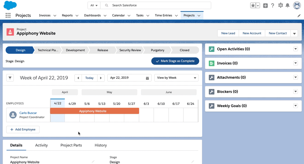 Salesforce Implementation Gantt Chart