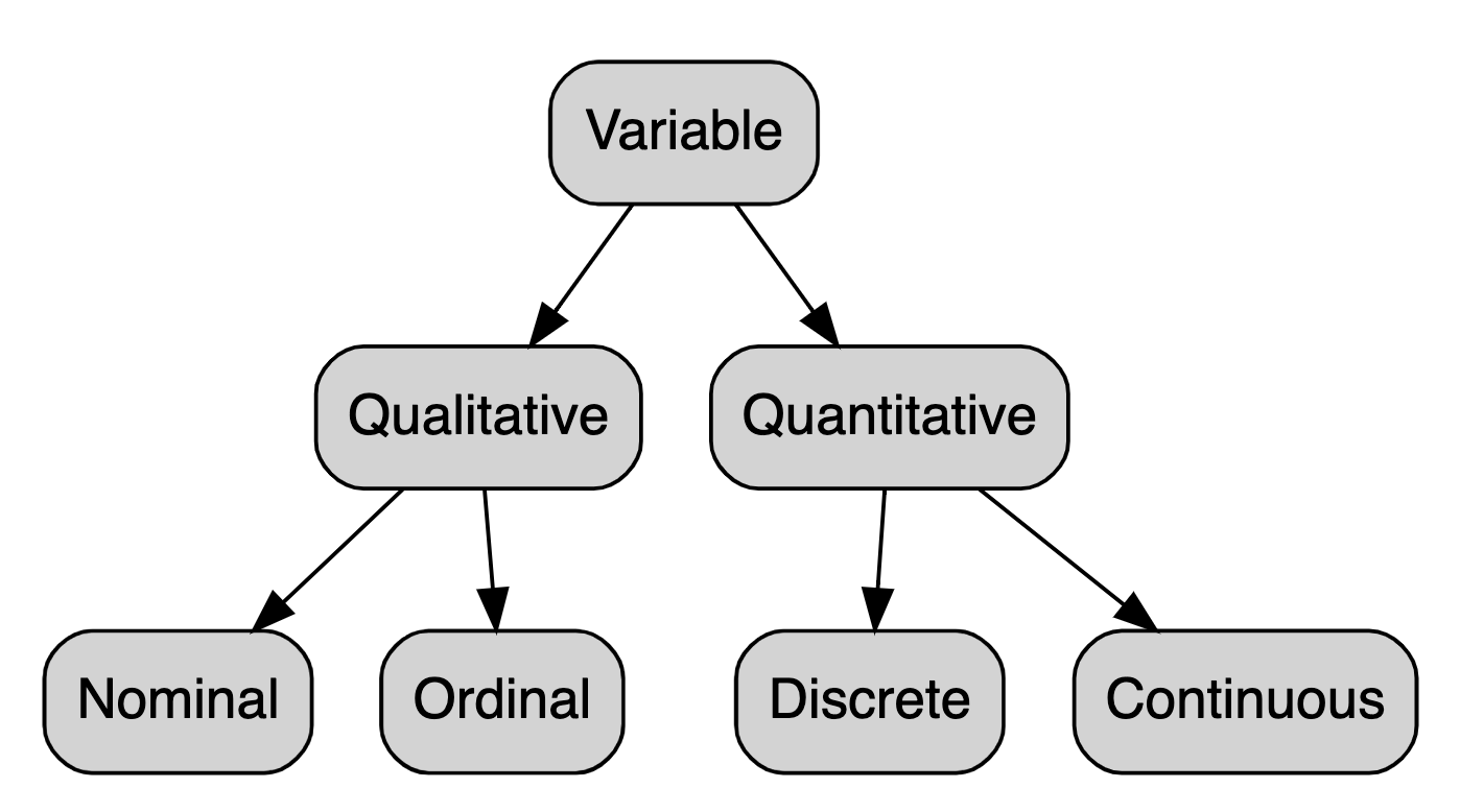 quantitative research variables examples