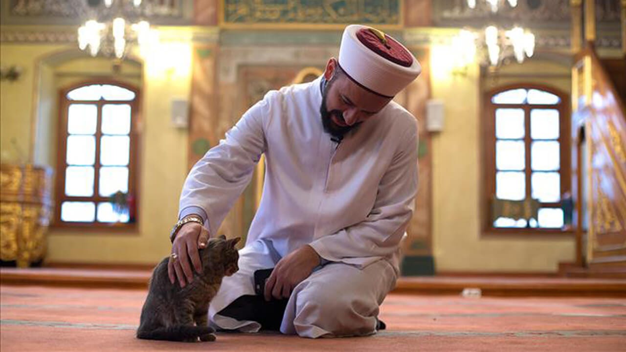 İslam’da kedinin yerihükmü ve Ebu Hureyre (r.a.) by AKİT TV Medium