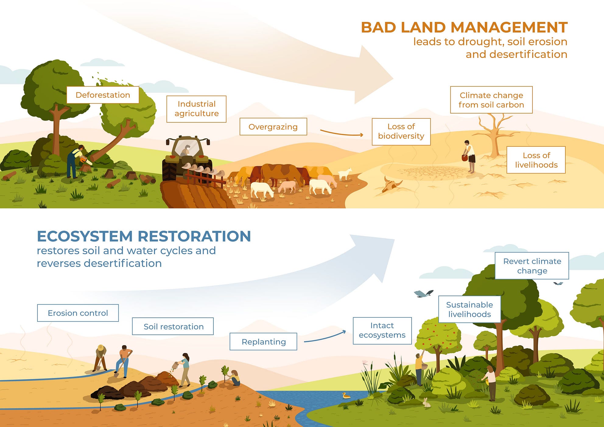 Making the most of the ‘UN Decade on Ecosystems Restoration’ bioregional regenerative
