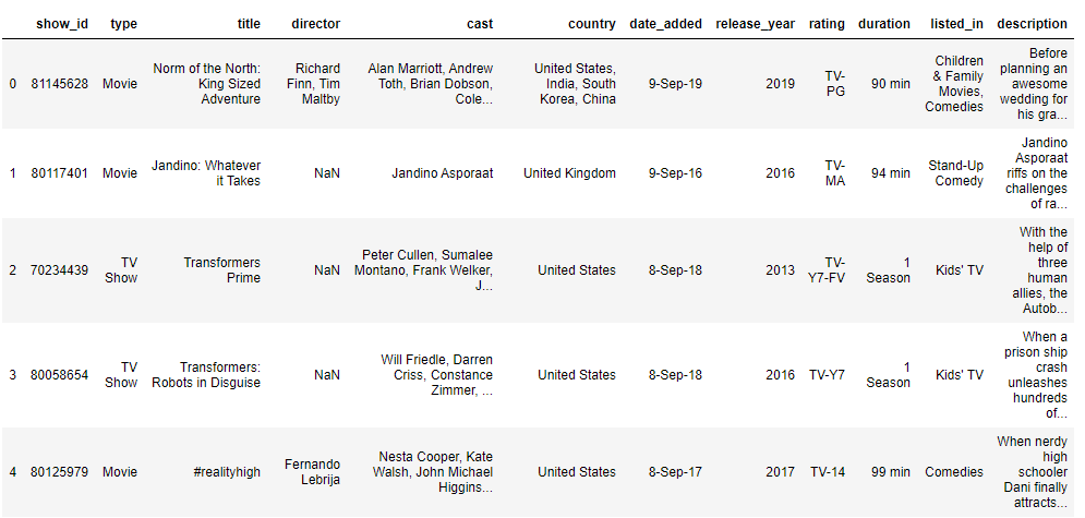 Netflix Movie system using NLP by Ritika