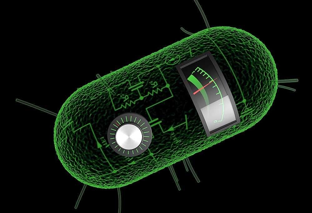Can we create life using synthetic biology? by Manas Joshi