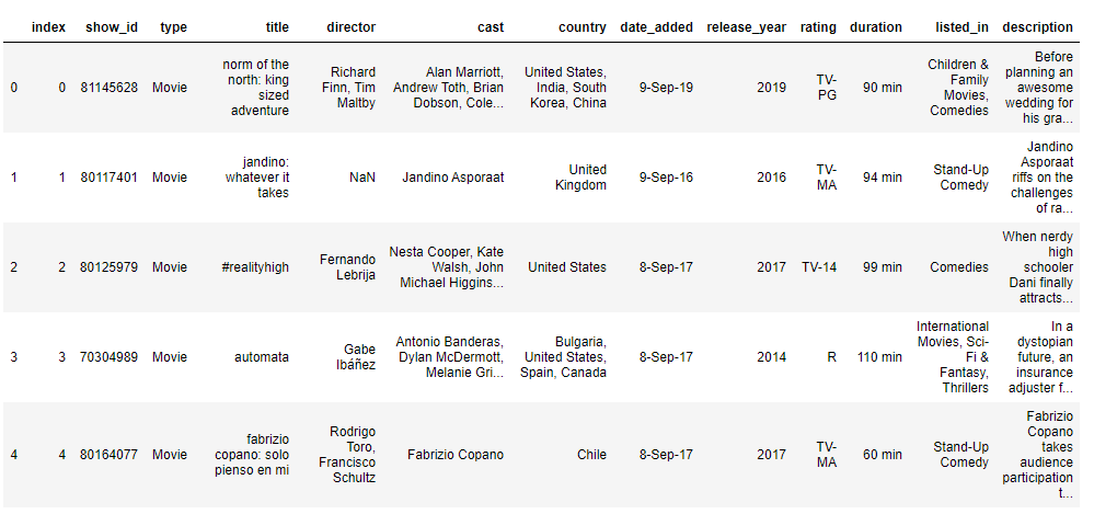 Netflix Movie system using NLP by Ritika