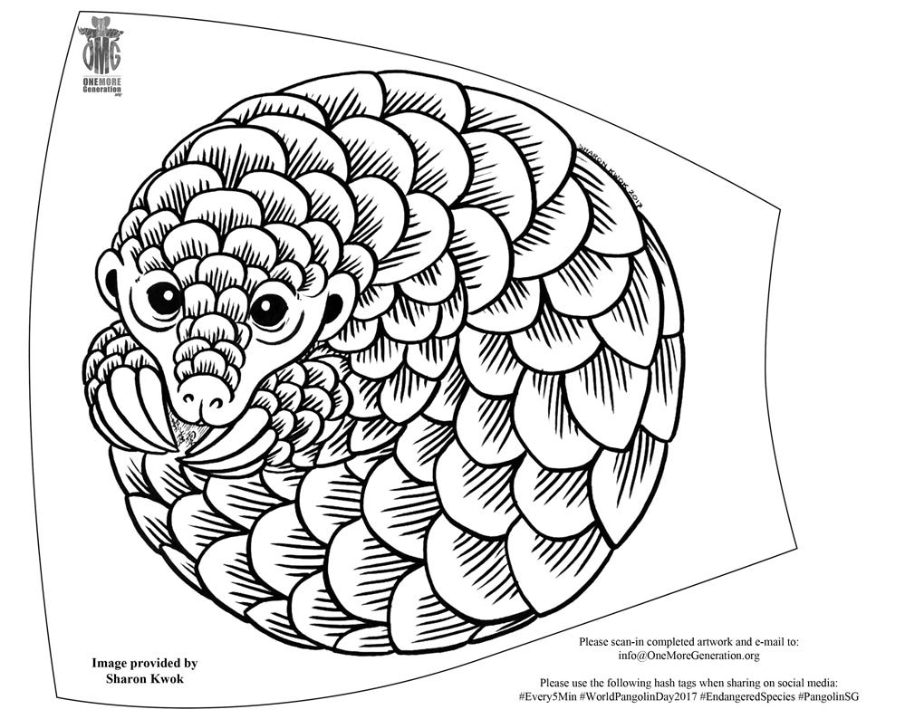 702 Cartoon Pangolin Coloring Page for Kids