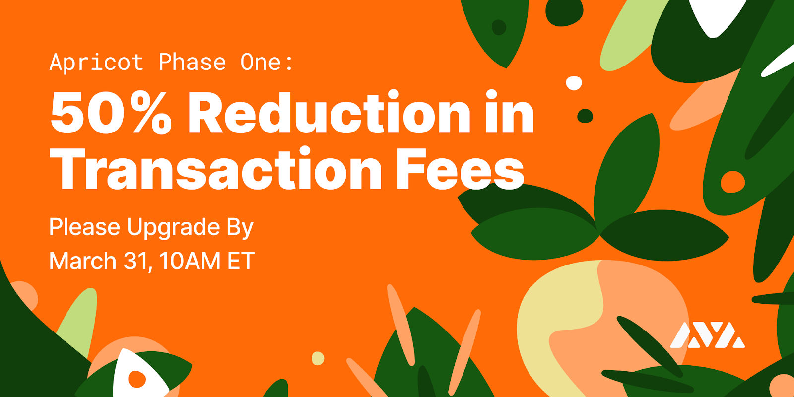 Apricot Phase One 50 Reduction In Transaction Fees By Patrick O Grady Avalanche Medium