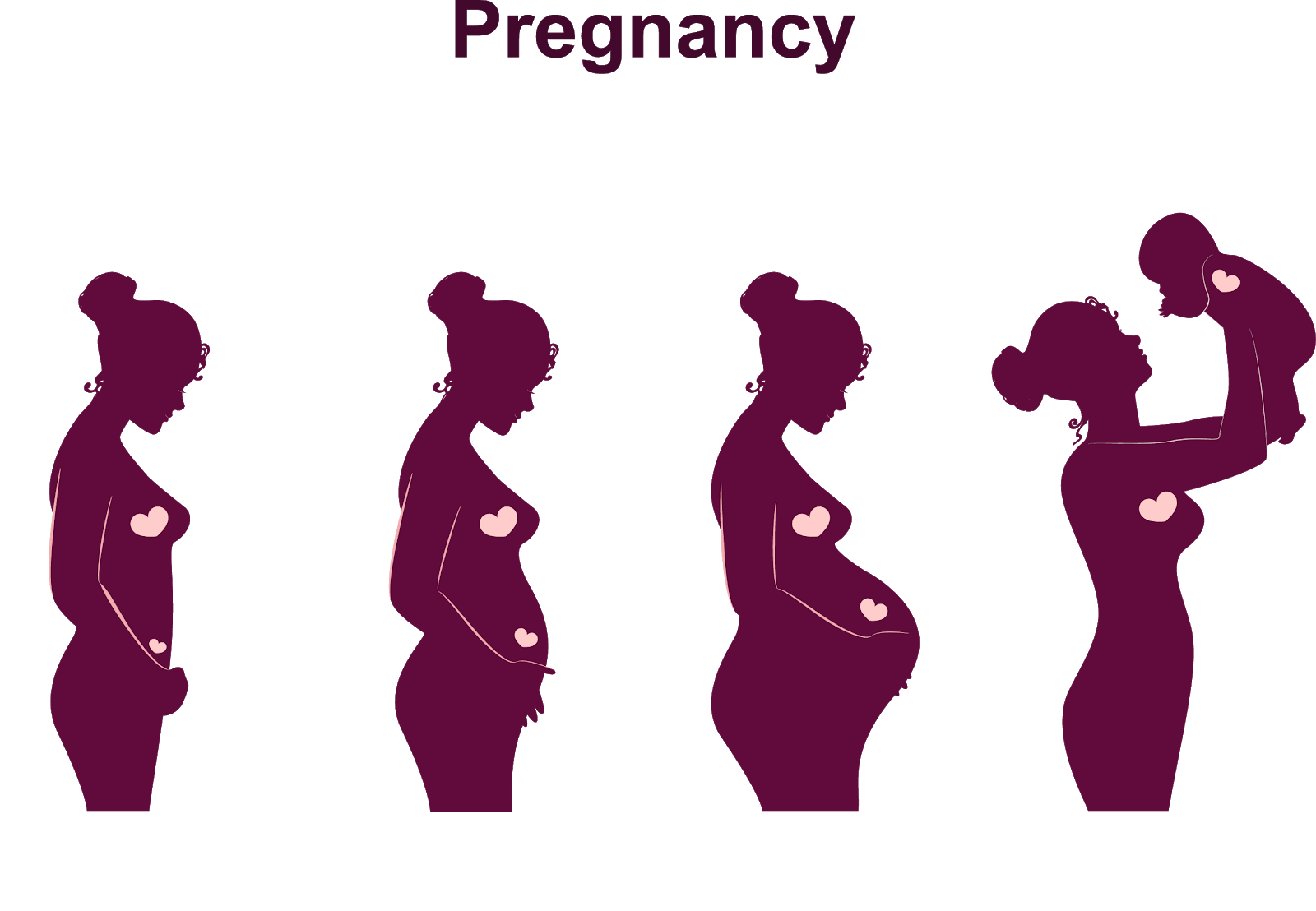 What To Know About The Pelvic Floor And Exercises Postpartum