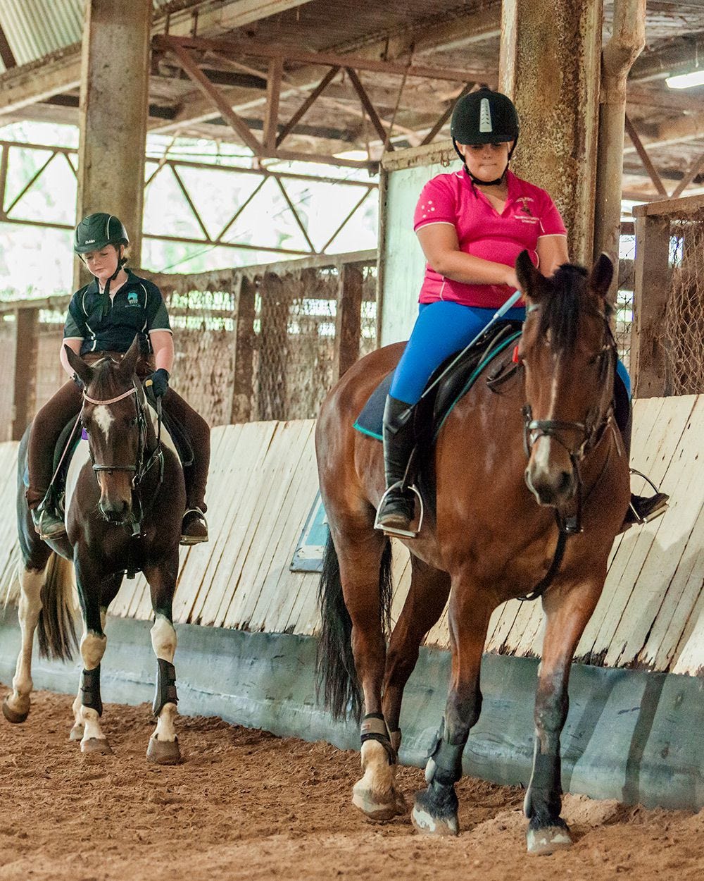 Horse Riding Lessons Brisbane l Horse Riding