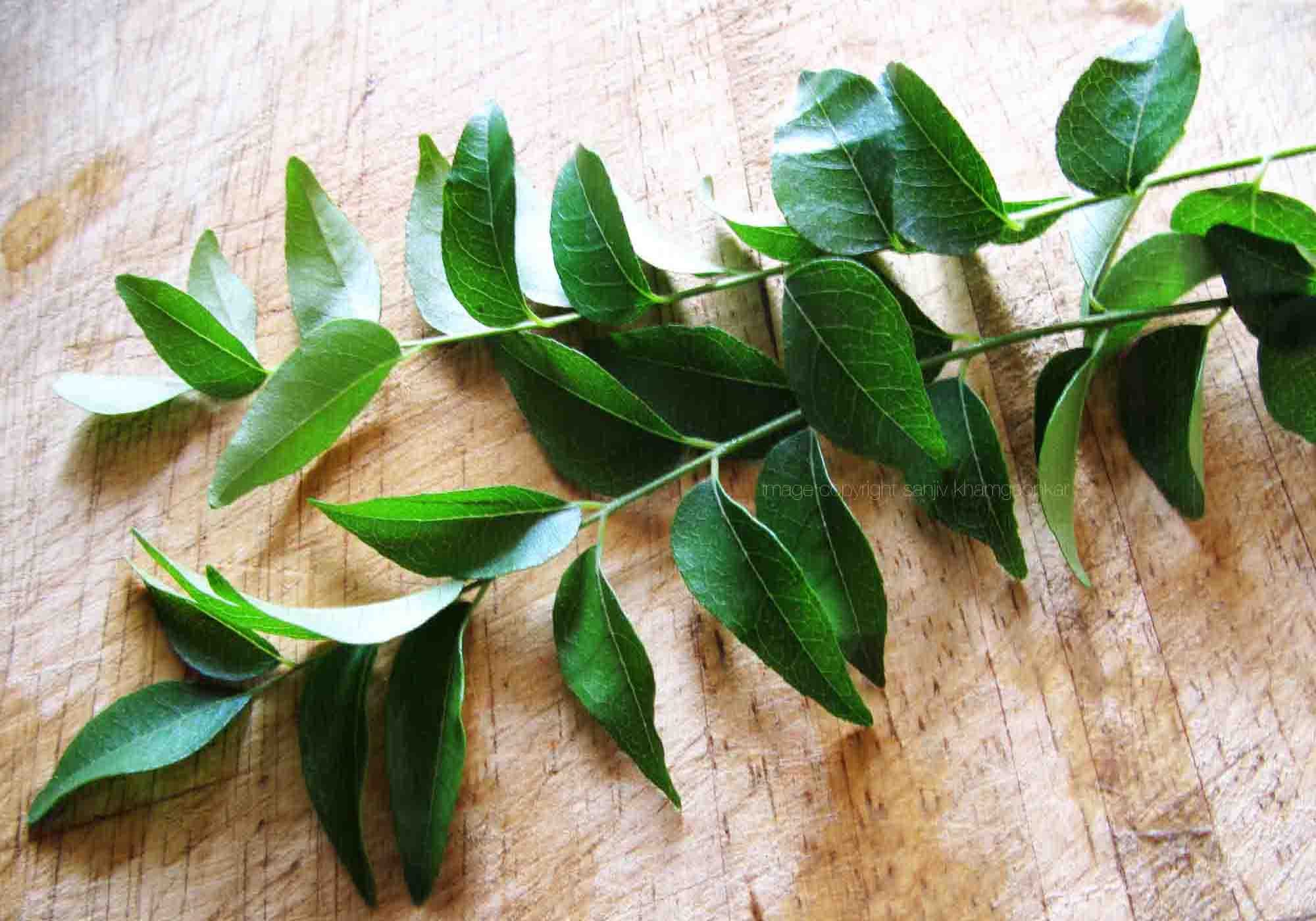 Benefits of Curry Leaves for Hair