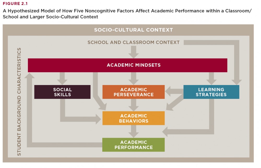 non cognitive learning