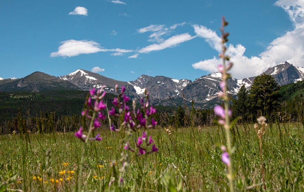 Live Life in Color. We were not created to live life in a… by Michael