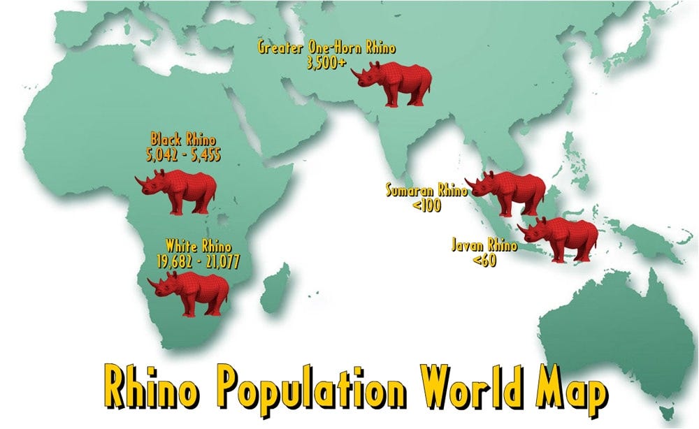 Rhino Population World Map. The overwhelming rhino conservation… by