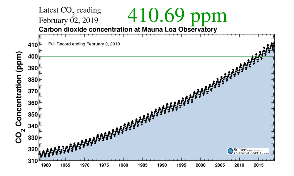 Why Are Carbon Sinks So Important Noteworthy The