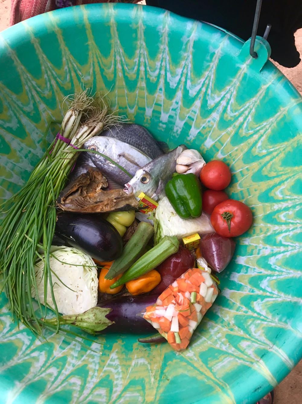 A Day in The Life. This week I was fortunate to be able to… by Leslie