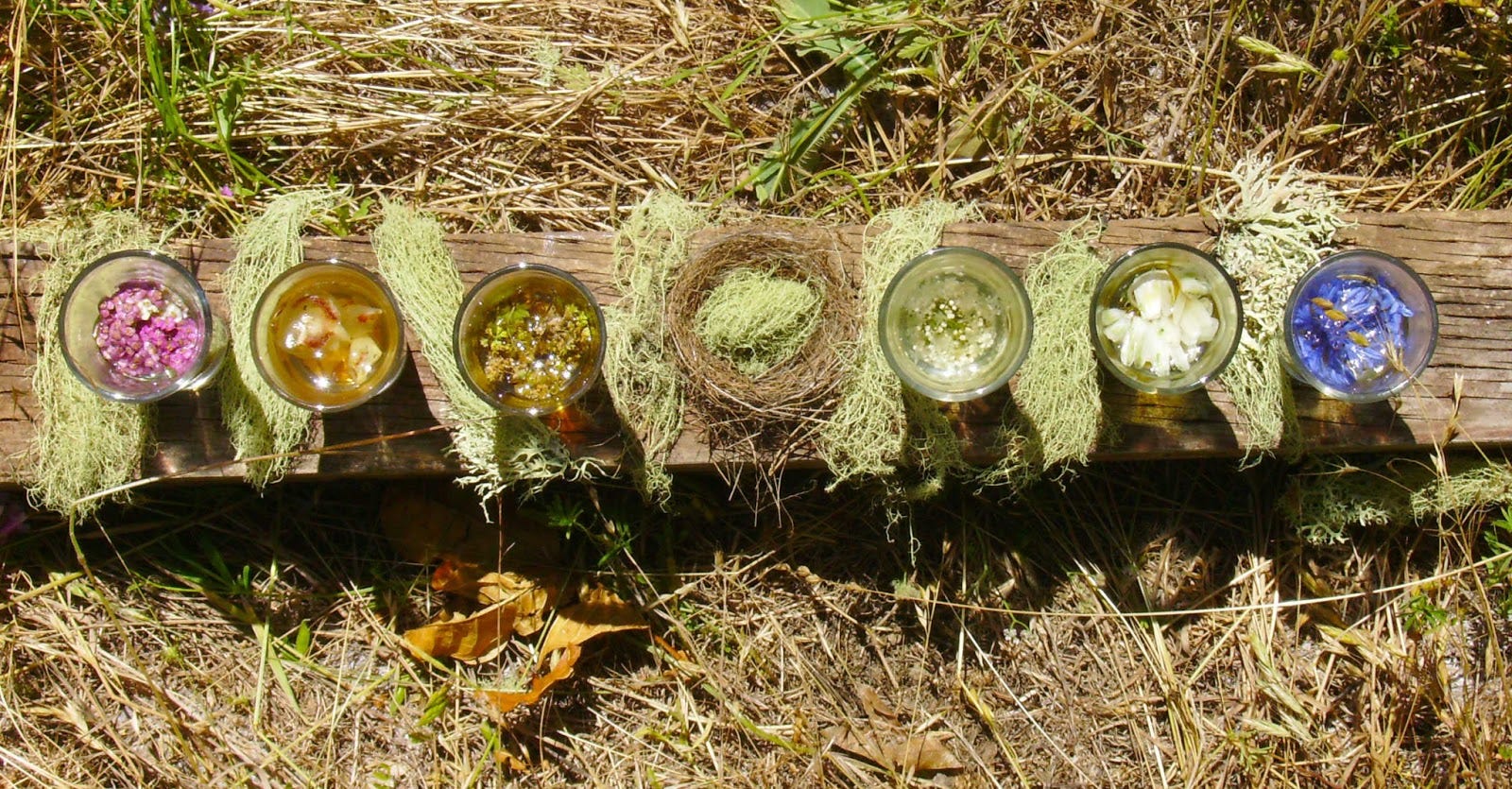 How to Make Flower Essences. These remedies cure, not by attacking