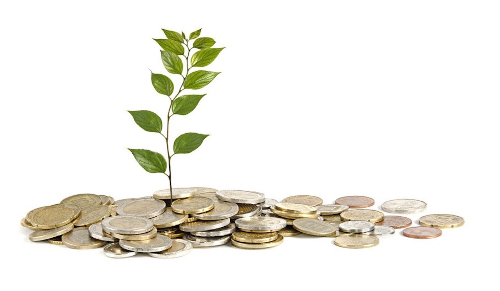 How Much Money Should I Raise For My Seed Round? | by Tomer Dicturel | pushtostart | Medium