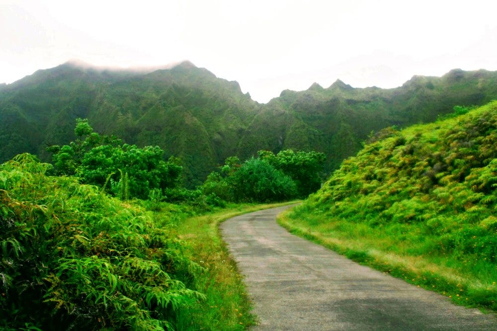 Hoʻomaluhia Best Kept Secret Of Hawaii Rene Peralta Medium