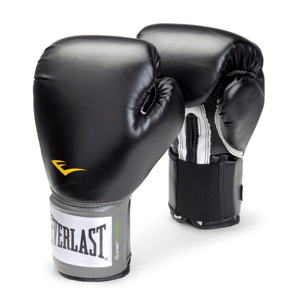 affordable boxing gloves