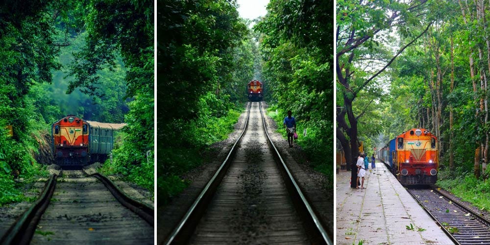A Scenic Beauty Of Nilambur Shoranur Rail Line By Keralatourism Holiday Medium A Scenic Beauty Of Nilambur Shoranur Rail Line By Keralatourism Holiday Medium