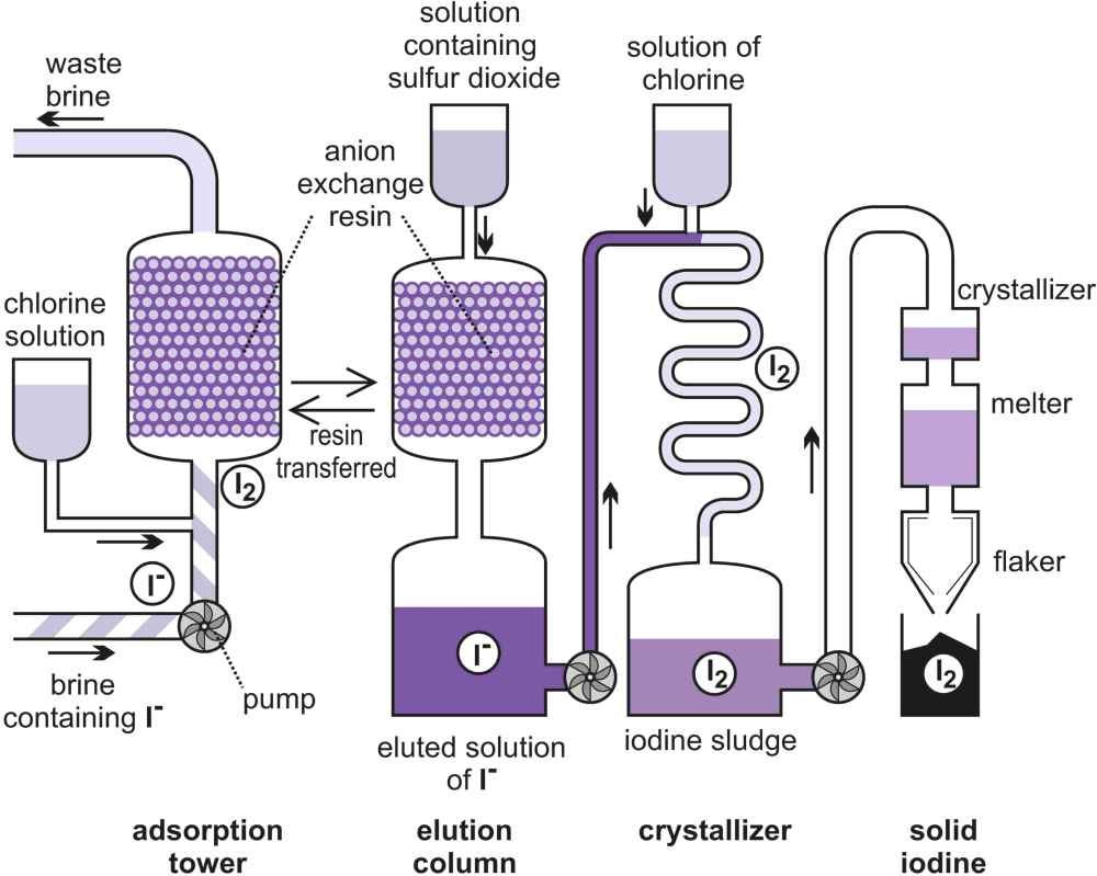 Iodized Salt Tilly Rose Medium