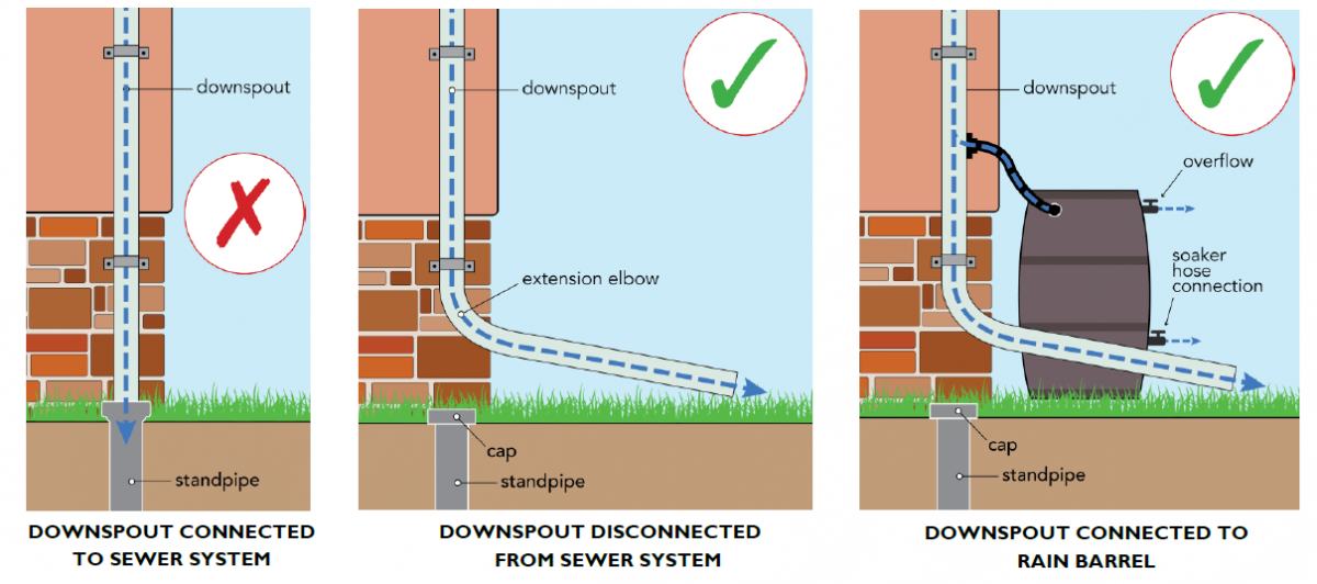 Community Spotlight Interview with Downspout Disconnect Green