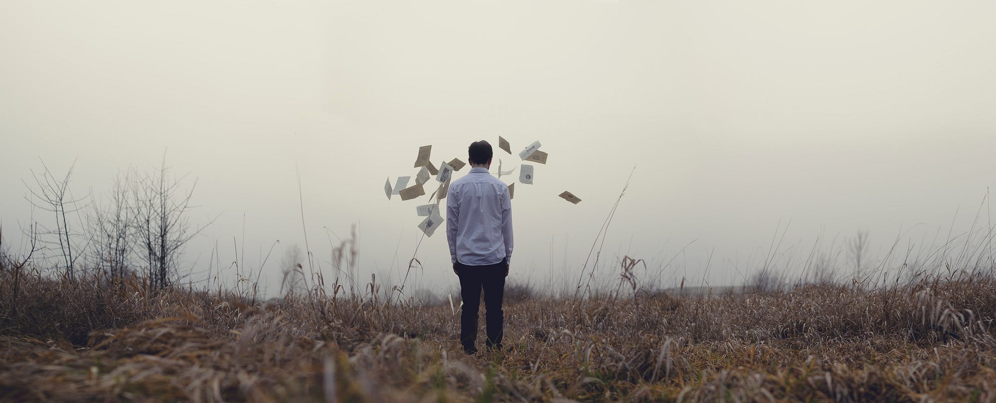 a man standing in a field